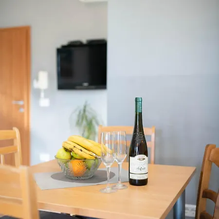 Apartament Thomas Novigrad (Istria)